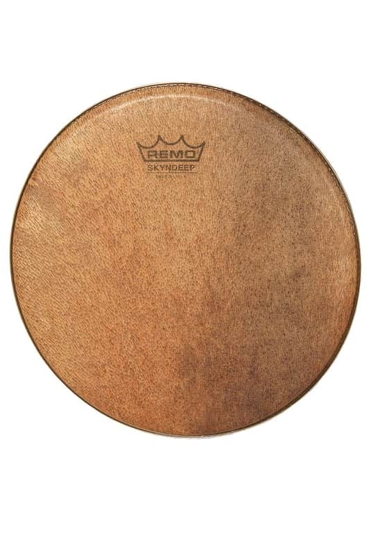 Remo Tambourine (UL0110BT013) image 1