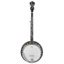 Ibanez B200 5-String Resonator Banjo w/ Hard Shell Case