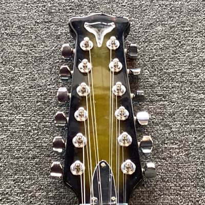Burns Bison Double Six Club Series 12 String Electric Guitar image 8