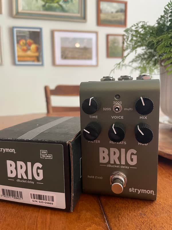 Strymon Brig dBucket Delay 2023 - Present - Green image 1