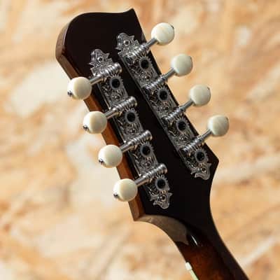 Eastman MD504 2022 imagen 9