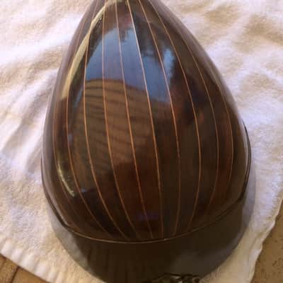 Umberto Ceccherini Neapolitan Style bowlback mandolin 1881 with Eastman Case image 3
