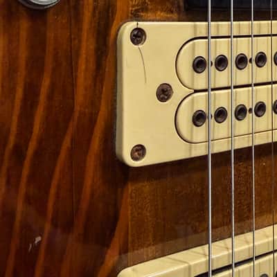 Vintage 1970s D'Agostino Benchmark Guitar image 14