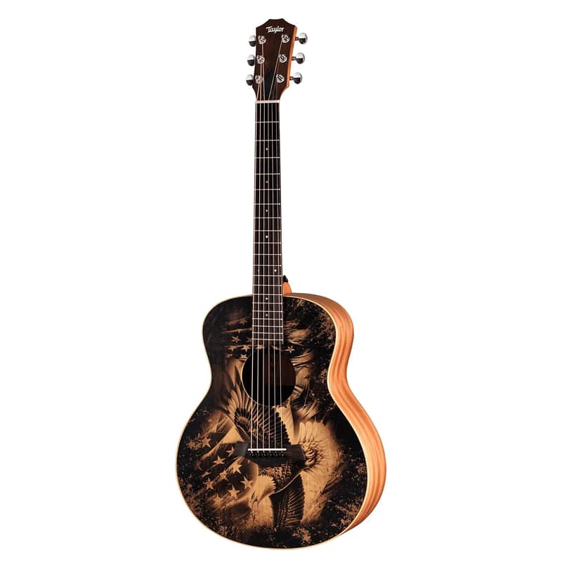 Taylor Guitars 4 Vets GS Mini Special Edition image 1