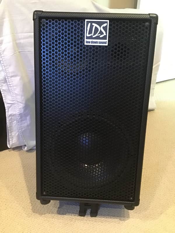 Low Down Sound 12” 3-way with Eminence long throw woofer 2020 Black carbon fiber image 1