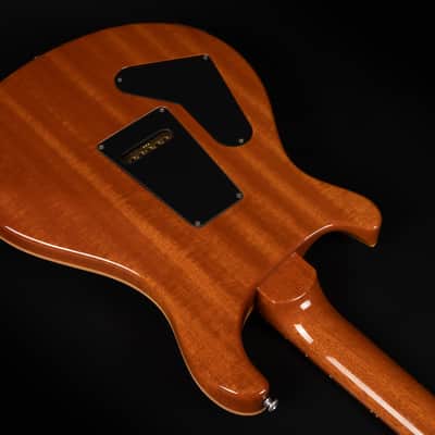 2017 Paul Reed Smith PRS Custom 24 - Eriza Verde | USA Core Flame Top Pattern Thin Neck 3.19kg | CoA OHSC image 15