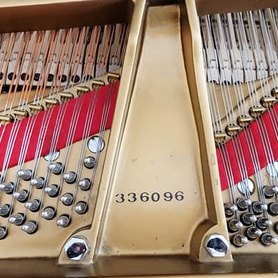 Steinway & Sons Concert Grand Piano image 16