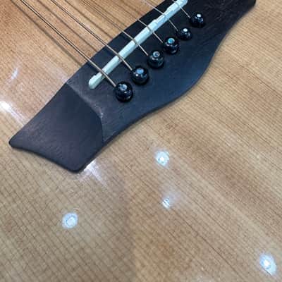 Washburn WLD20SCE Woodline 20 Dreadnought With Cutaway 2010s Natural W/ Orig. Hard Case image 3