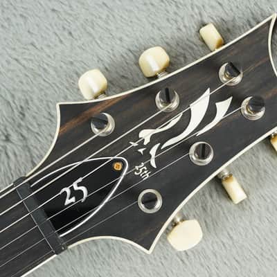 2010 PRS 25th Anniversary DGT Limited Edition #24/25 + OHSC image 24