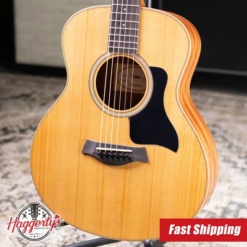 Taylor GS Mini Sapele