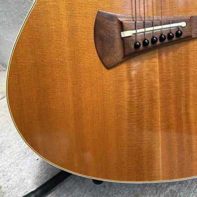 Gibson MK-35 1977 - Natural image 8