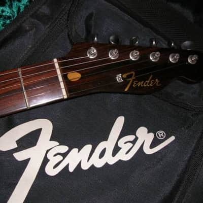 No.050297 FENDER JAPAN ALLROSE TELECASTER VG co FUJIGEN INC. image 12