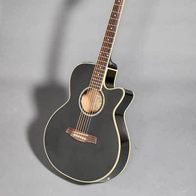 IBANEZ AEG10 (AEG10E, AEG10II) acoustic guitars for sale in Canada