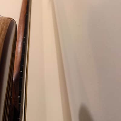Warmoth Deluxe 5 J Bass Fretless 2025 Gloss Indian Rosewood image 13