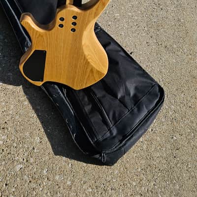 Agile 8 String Multi-Scale Fan Fret Stainless Fret Fishman Fluence image 4
