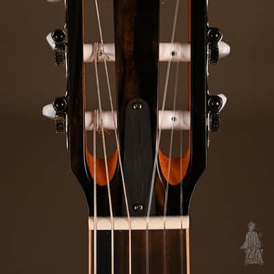 Taylor image 12