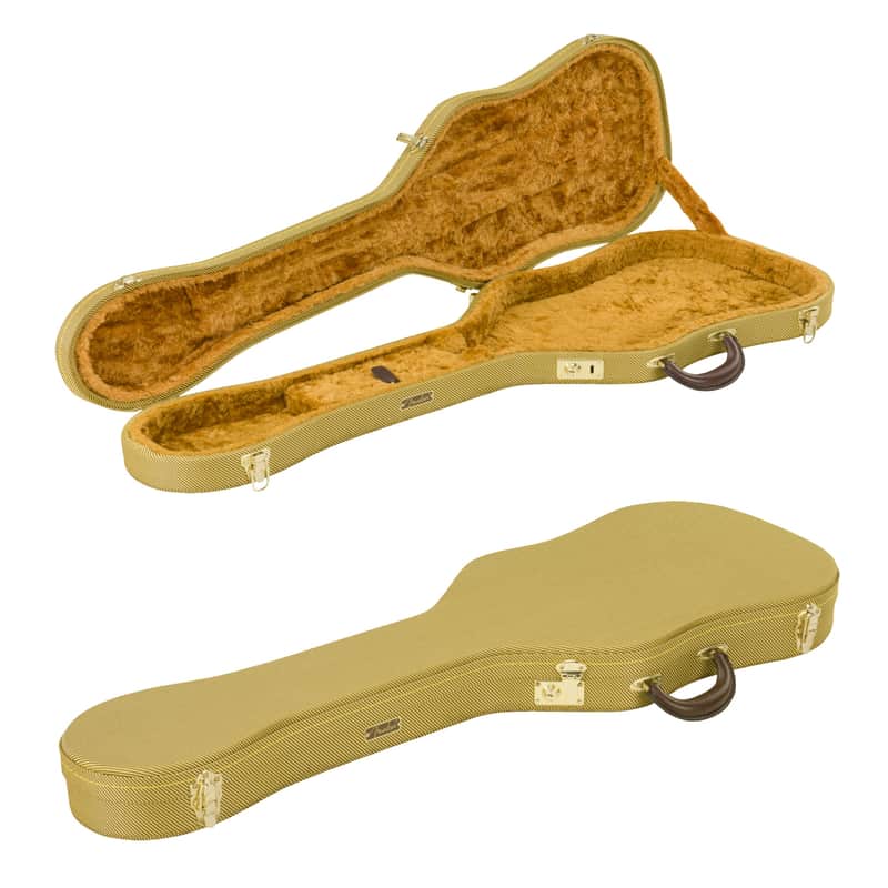 Fender Telecaster Thermometer Case Tweed image 1