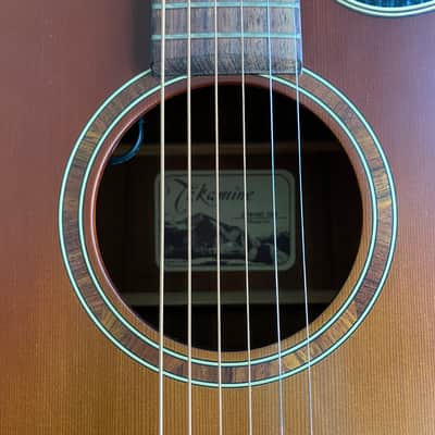 Takamine ETN10C-TBS Satin Tobacco Burst image 6