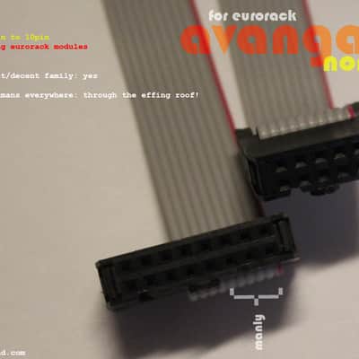 A35 (Pack of 3) • 13.5" 16pin to 10pin Power Connector • Eurorack Power Bus Ribbon Cable • Avantgarde Sound 2024 image 4