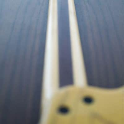 Roscoe Custom SKB 5 Electric Bass image 6