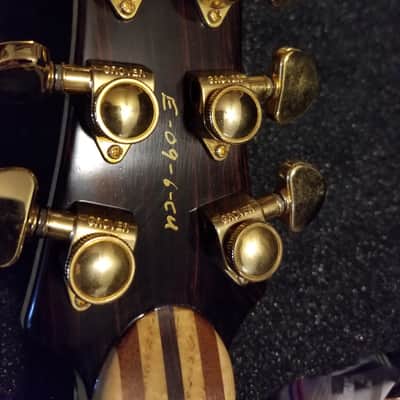 Phiga Eagle Guitar image 6