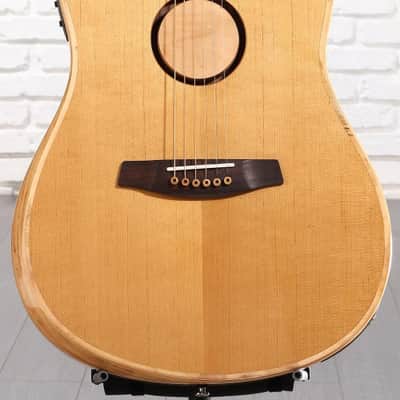 LR Baggs AEG-1 Acoustic-electric Guitar - Torrefied Spruce Top (AEG1Trfd1) image 4