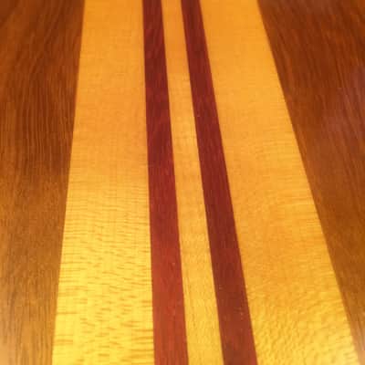 Alembic Series 1 Bass Guitar Owned by Nathan East (bassist for Eric Clapton) image 19