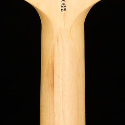 PRS SE Swamp Ash Special Charcoal (706) image 6