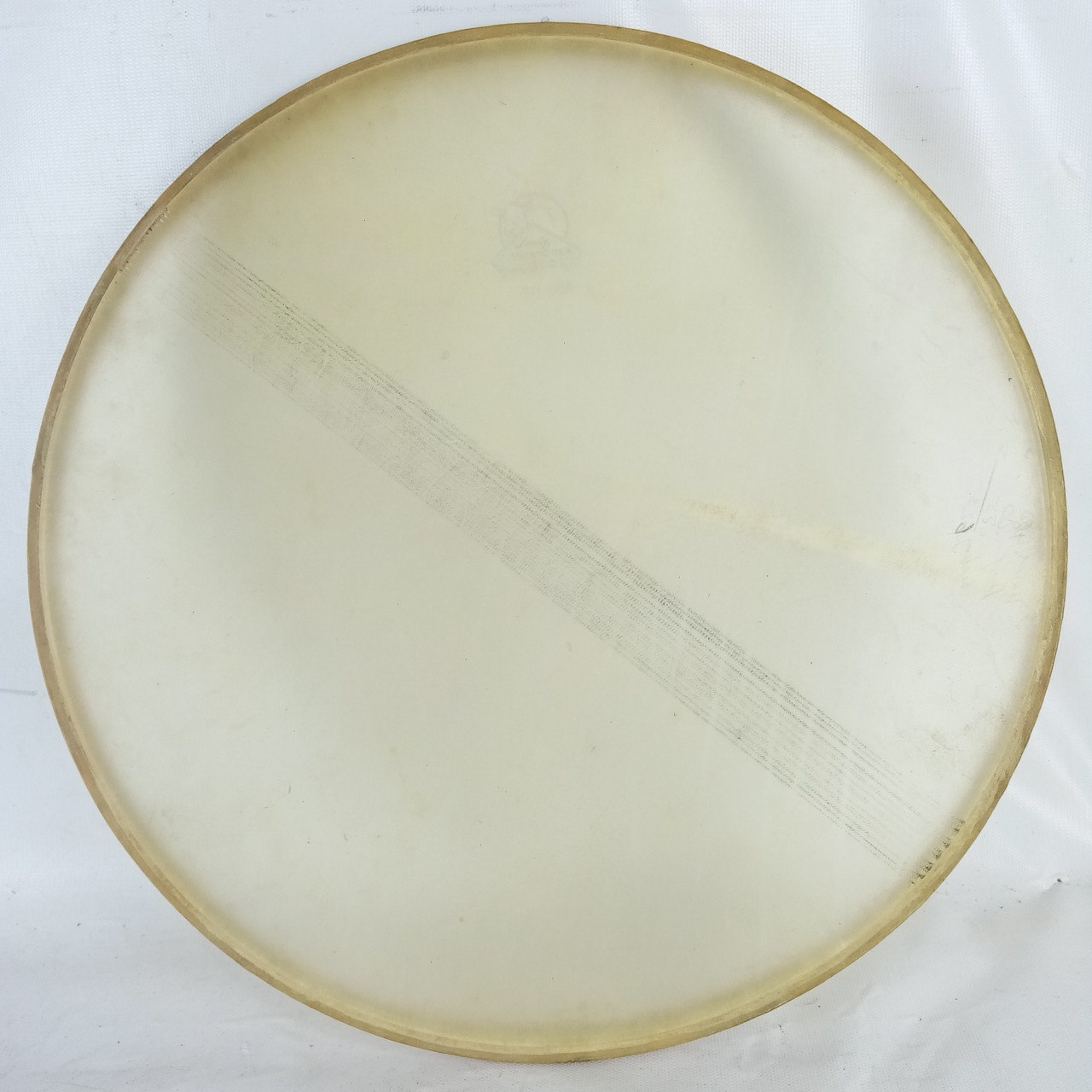 Leedy 14"Standard Uka Transparent Snare Resonant Calf Skin Slunk Drum Head 40s* — main photograph