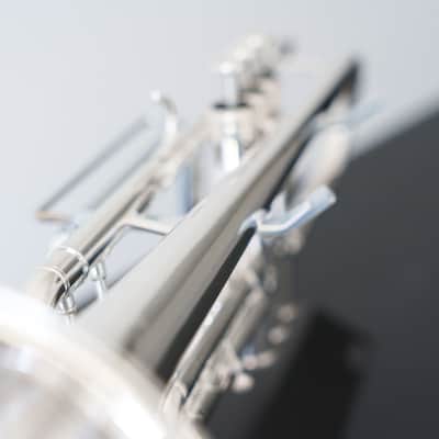Yamaha YTR-8335IIS Xeno Bb Trumpet (SN 5618xx) image 22