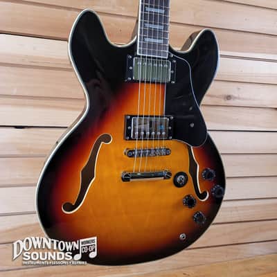 Firefly 335 Style Electric Guitar with Gig Bag - Vintage Sunburst, 7lbs 1oz image 1