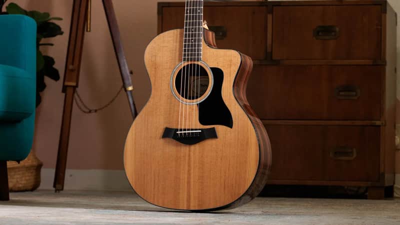 Taylor 214ce Plus Grand Auditorium Acoustic/Electric Guitar with Aerocase image 1