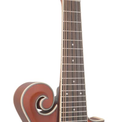 Gold Tone F-10 10-String F-Style Mandolin w/ Pickup & Case — Vintage Sunburst image 6