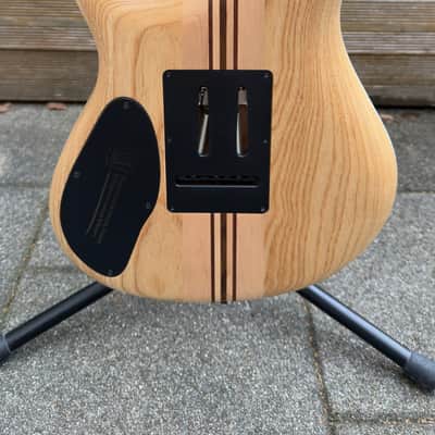 Mayones Regius 7 image 9