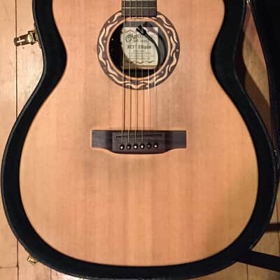 Martin XC1T Ellipse w/Fishman Ellipse Matrix Blend image 1