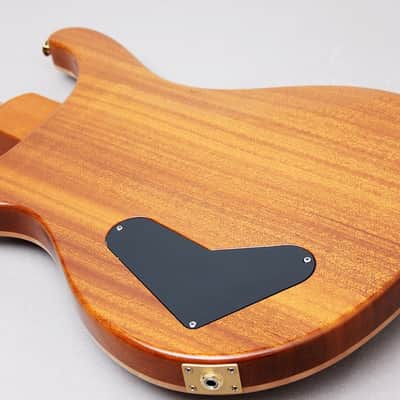 PRS USA Artist Package 20TH Anniversary Custom 22 "Brazillian Rosewood + Natural Burst" (2005) image 14