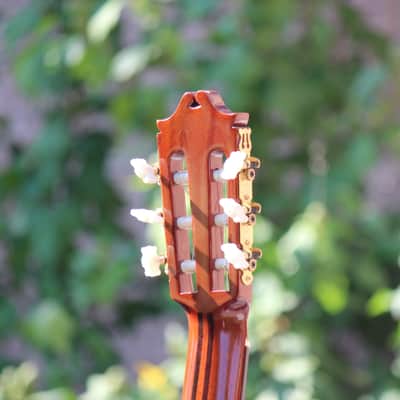 Terada El Degas ED-500 Handmade Concert Classical Guitar Japan 1982 image 8