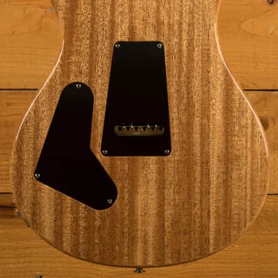 PRS Custom 24 Birds of a Feather LTD - Blood Red image 4