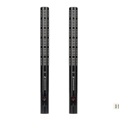 Sennheiser ME66 Short Shotgun Mic Capsule | Reverb Canada