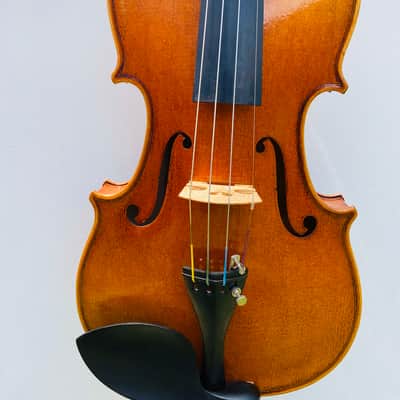 Fine Italian violin Stefano Scarampella 1910 image 16