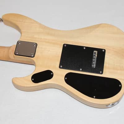 Washburn N1 Nuno Bettencourt Signature Electric Guitar image 3