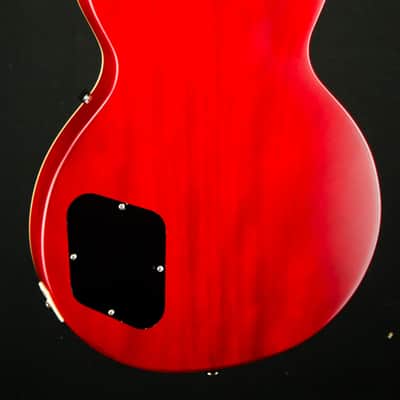 Epiphone Joe Bonamassa "Lazarus" 1959 Les Paul Standard - Lazarus image 13