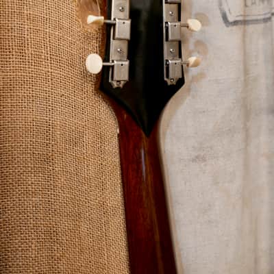 Epiphone FT-45 Cortez 1960 - Sunburst image 12