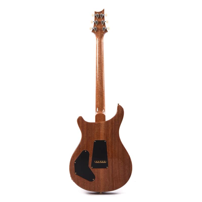 PRS DGT David Grissom Signature Wood Library image 5