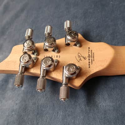 VGS Radioactive TD-Special True Temperament Evertune image 6