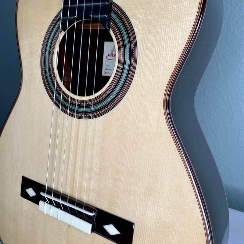 Picado Model Torres 1864 Classical Guitar Spruce & Madagascar Rosewood w/case *made in Spain image 1