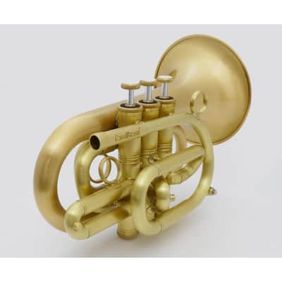 CAROL BRASS Carol Brass / N3000(D) ALL-SATIN GB [Bb Pocket Trumpet] [Pre-shipment adjustment for peace of mind] image 3