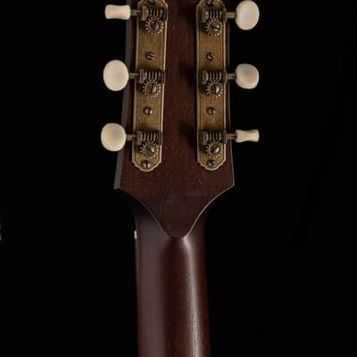 Iris Guitar Company DF Natural image 11