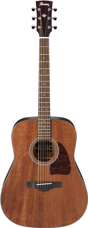 Ibanez AW54 Artwood image 3