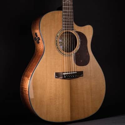 Cort All Solid Woods Gold Series A6 Auditorium w/ Fishman Flex Blend Electronics, Case image 1